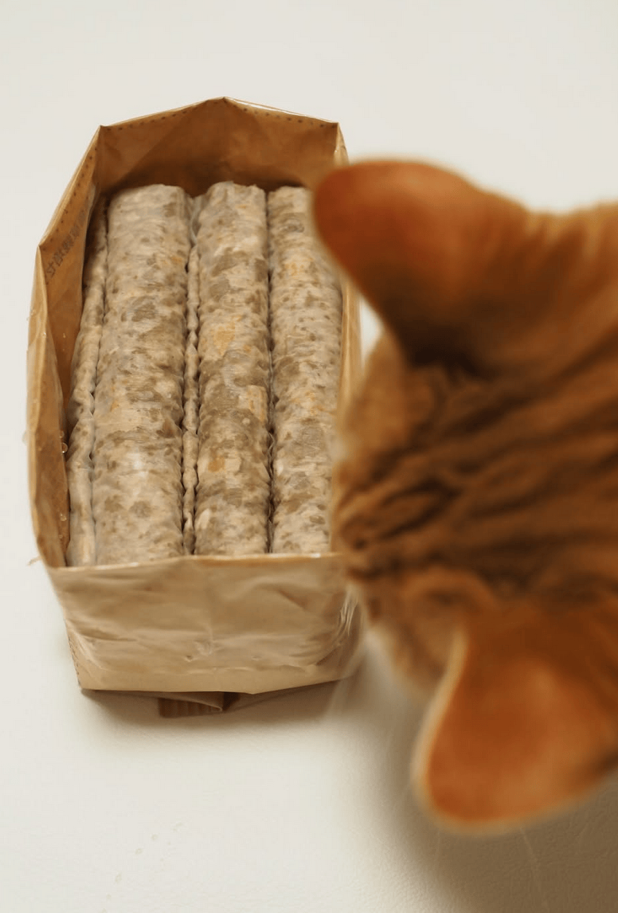 無印良品 土を使っていない 猫草栽培セット