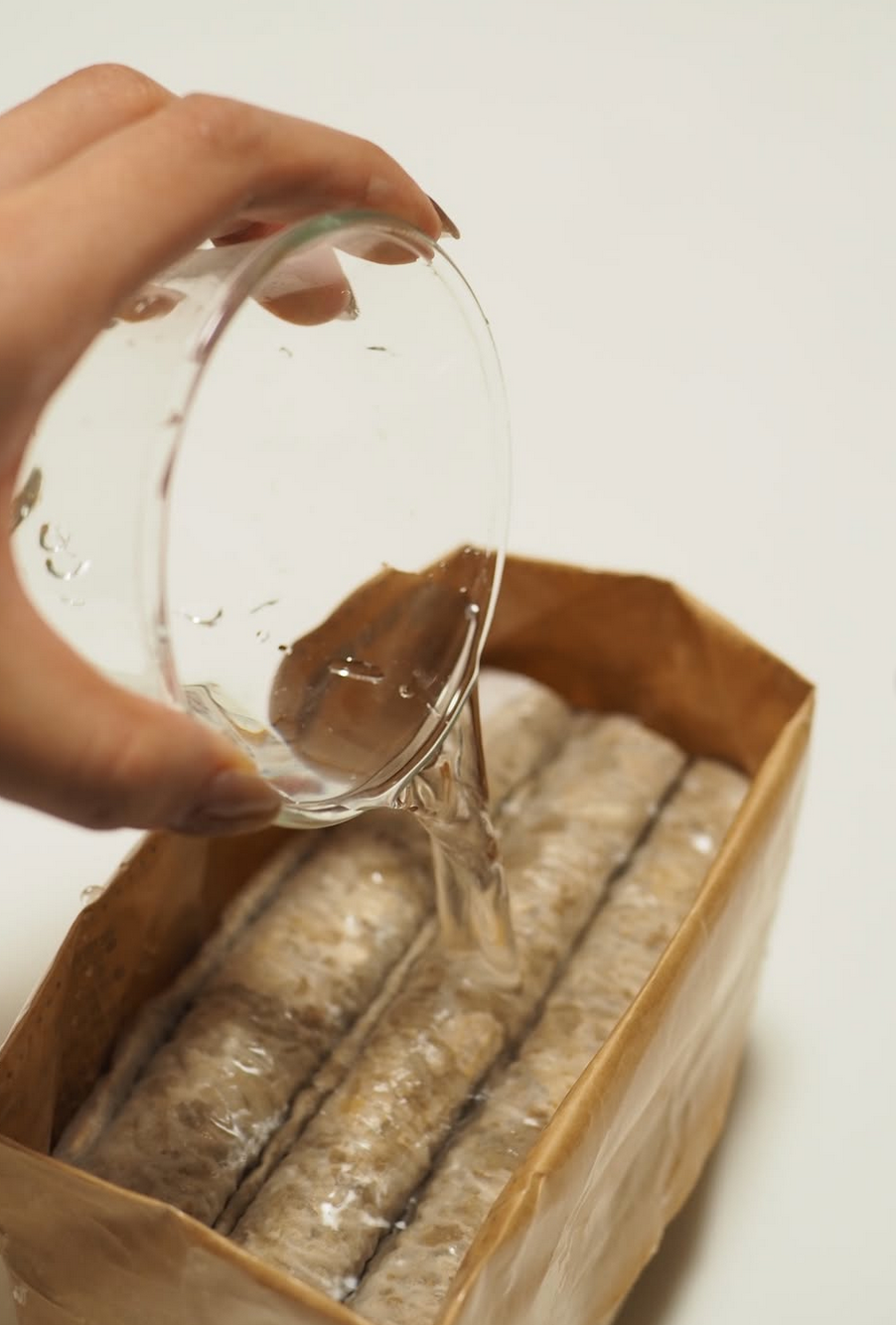 無印良品 土を使っていない 猫草栽培セット