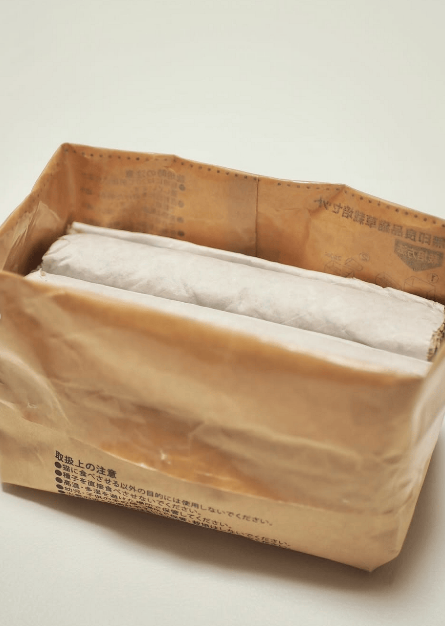 無印良品 土を使っていない 猫草栽培セット