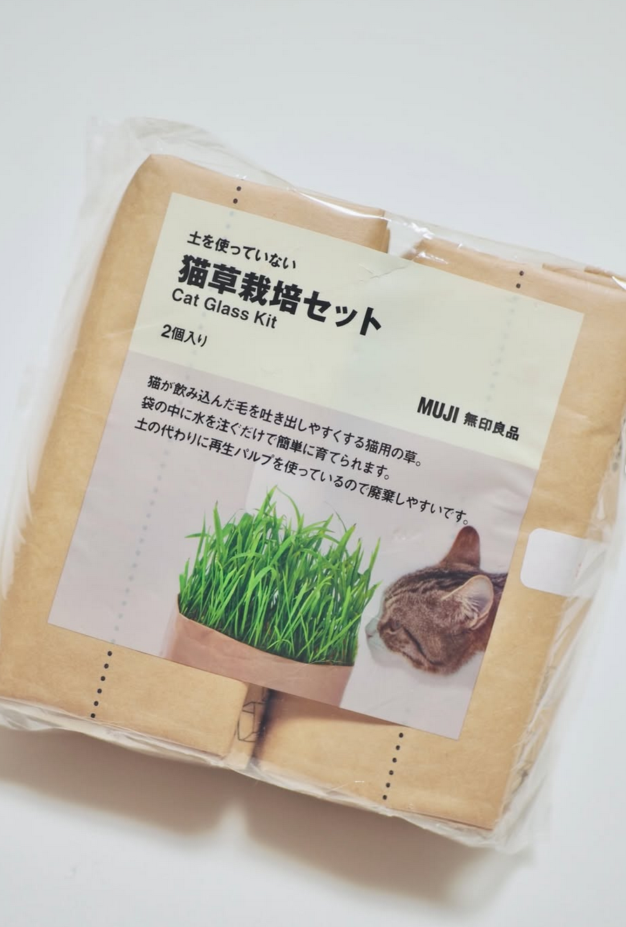 無印良品 土を使っていない 猫草栽培セット