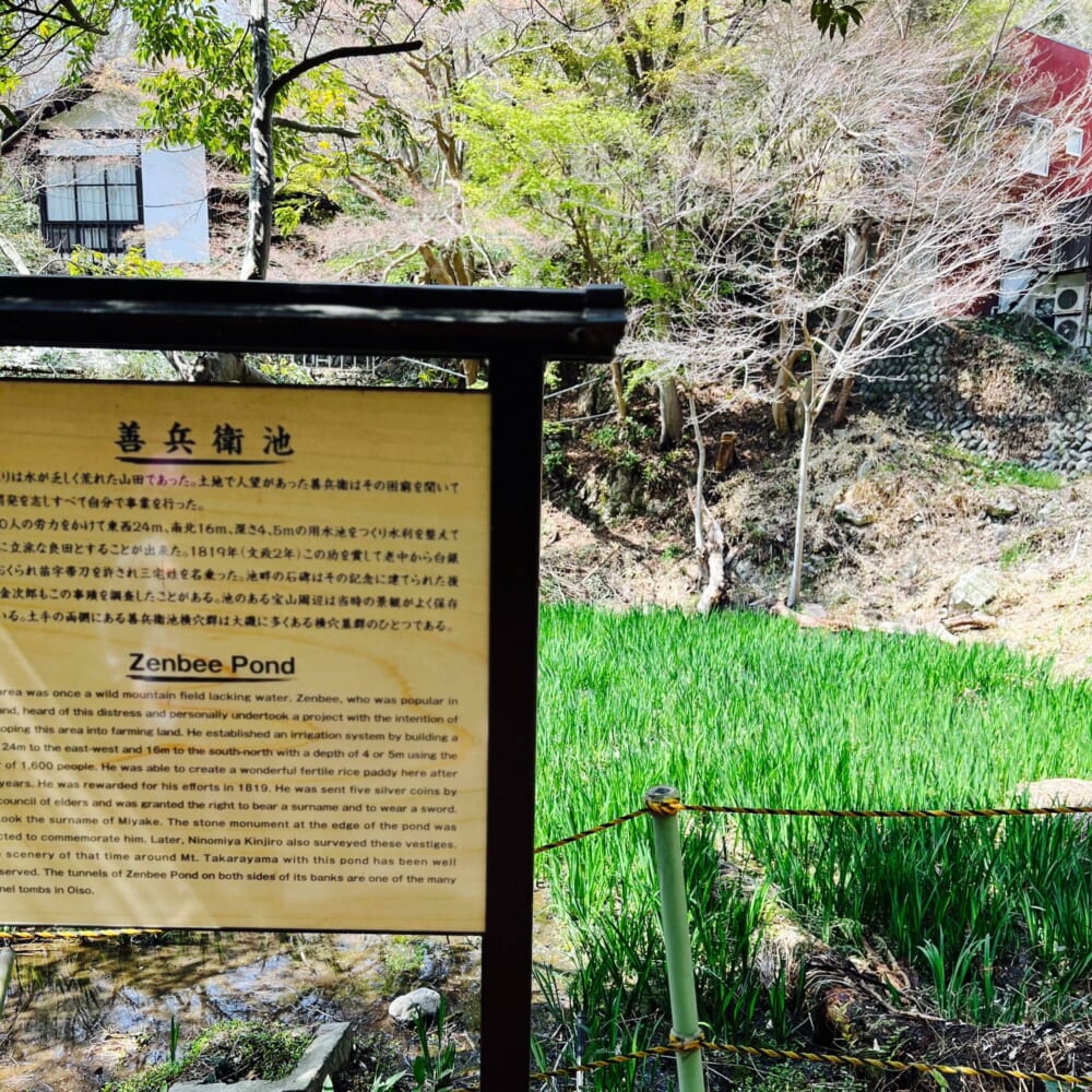 神奈川　平塚　大磯　湘南平　高麗山　お弁当　お花見 善兵衛池
