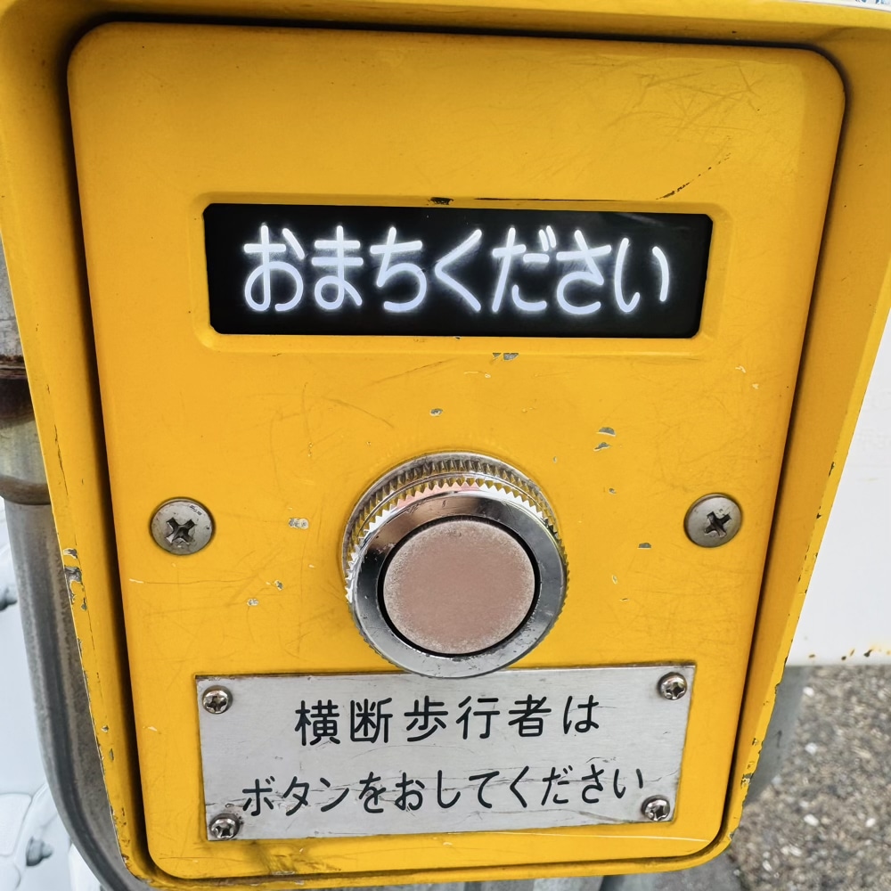 通学路　登校　1年生