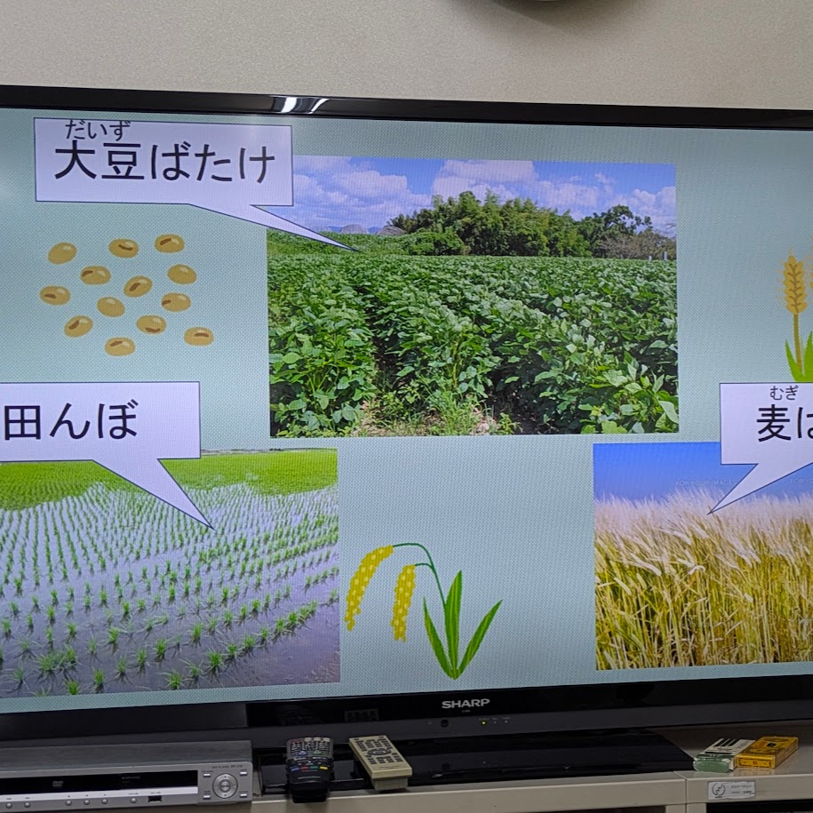 ３毛作　LEE100人隊コポ　お豆腐つくり