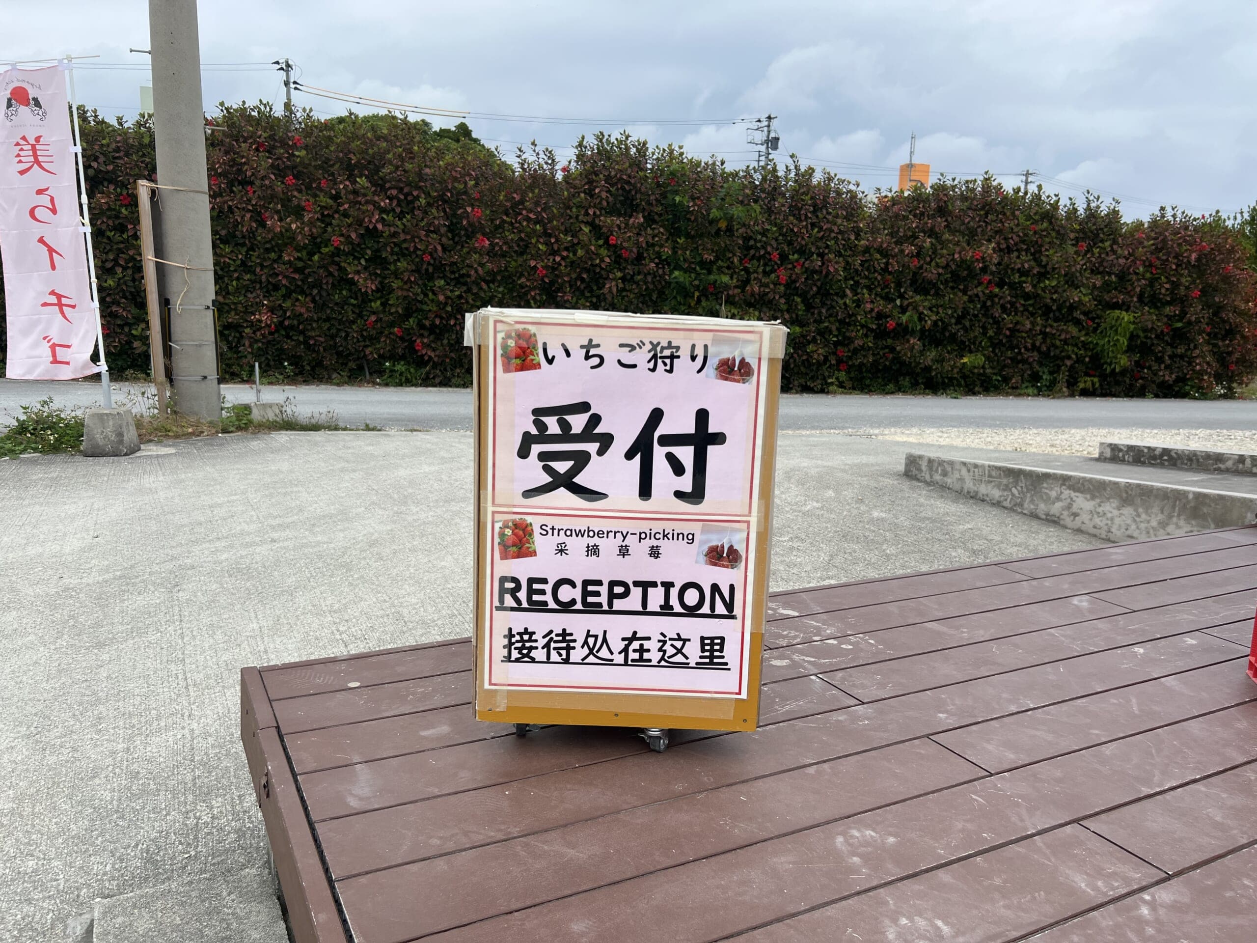 【沖縄】摘みたて島いちごを食べに「美らイチゴ 南城ハウス」へ TB icoco