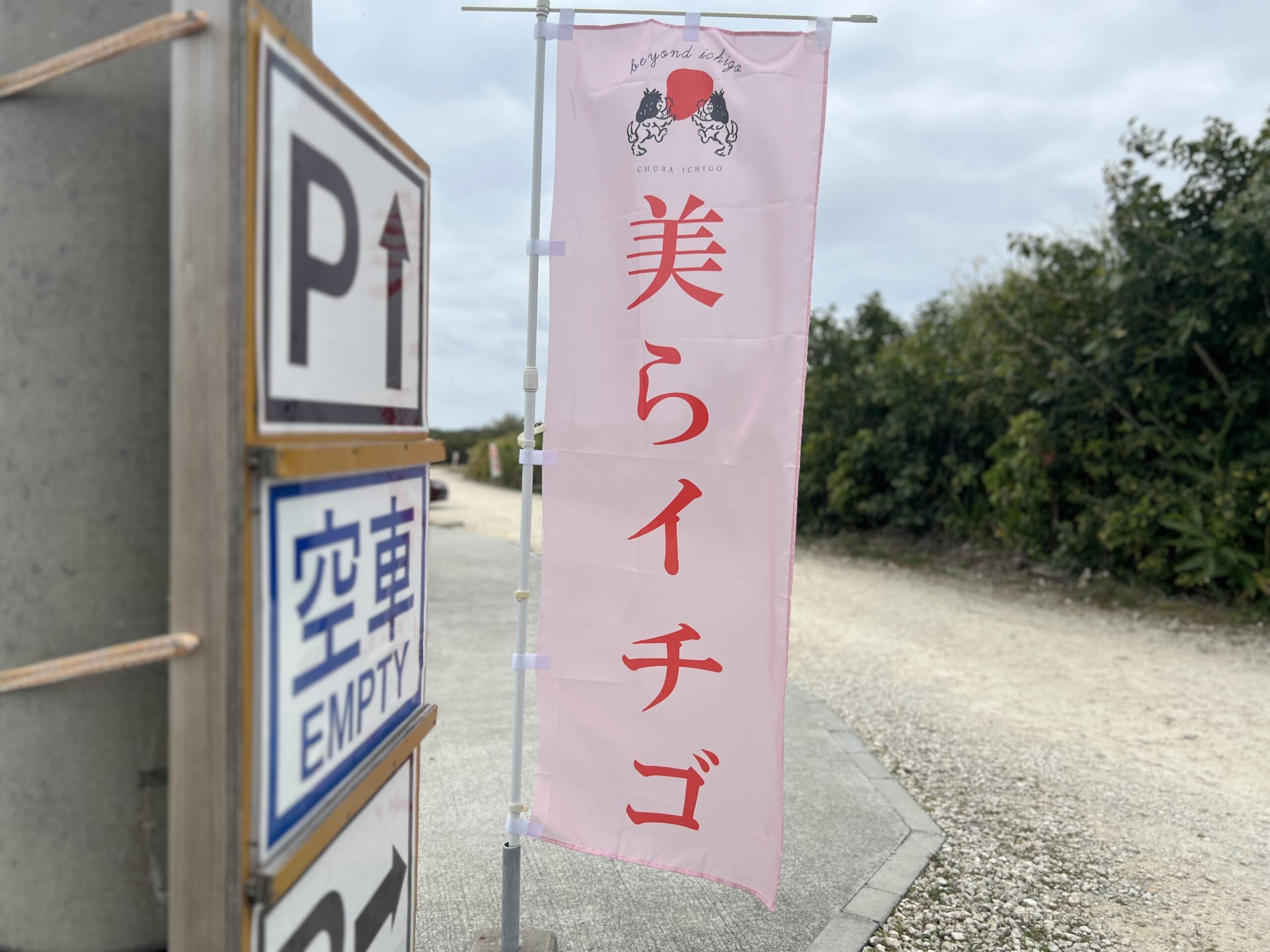 【沖縄】摘みたて島いちごを食べに「美らイチゴ 南城ハウス」へ TB icoco