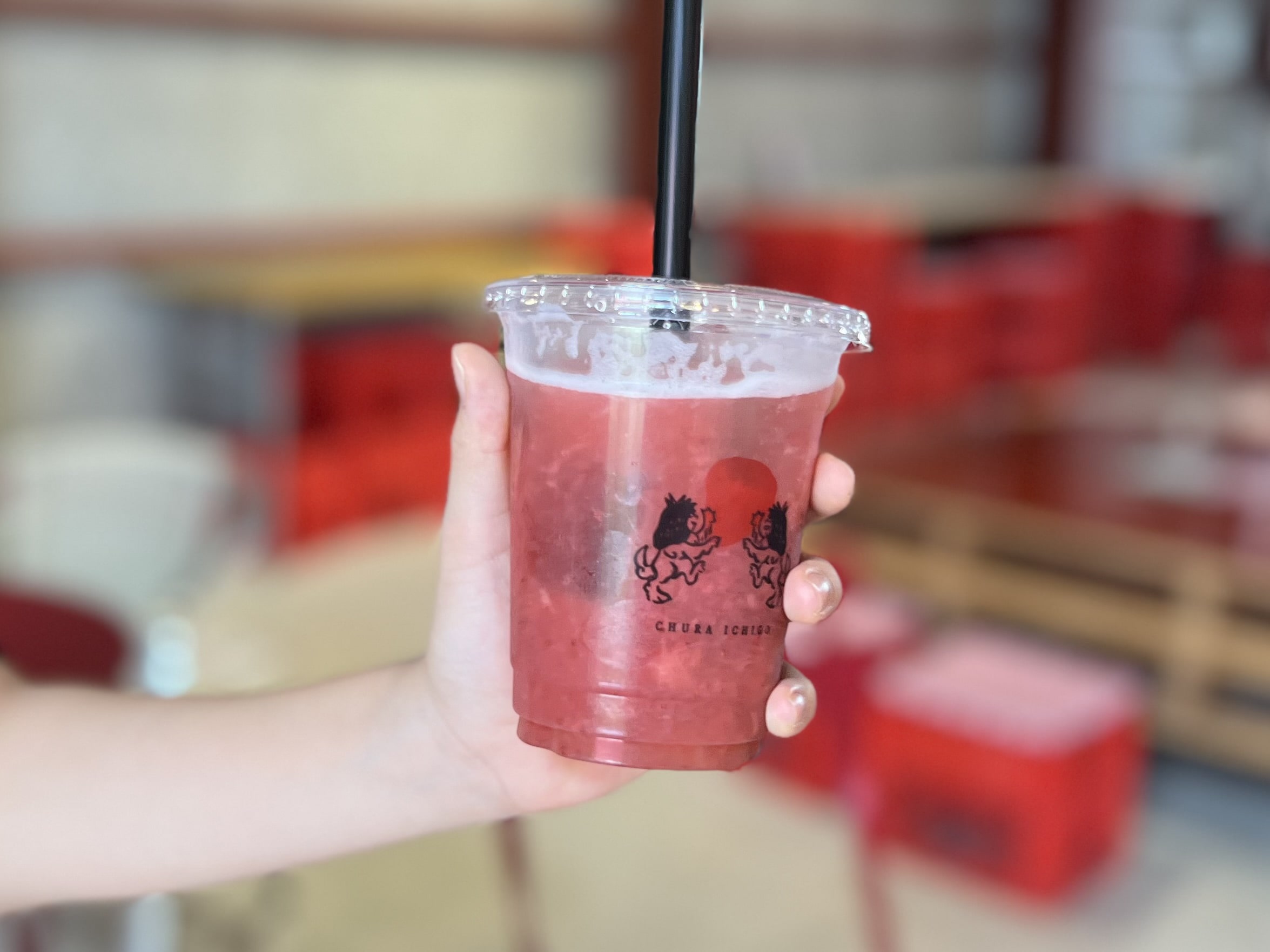 【沖縄】摘みたて島いちごを食べに「美らイチゴ 南城ハウス」へ TB icoco