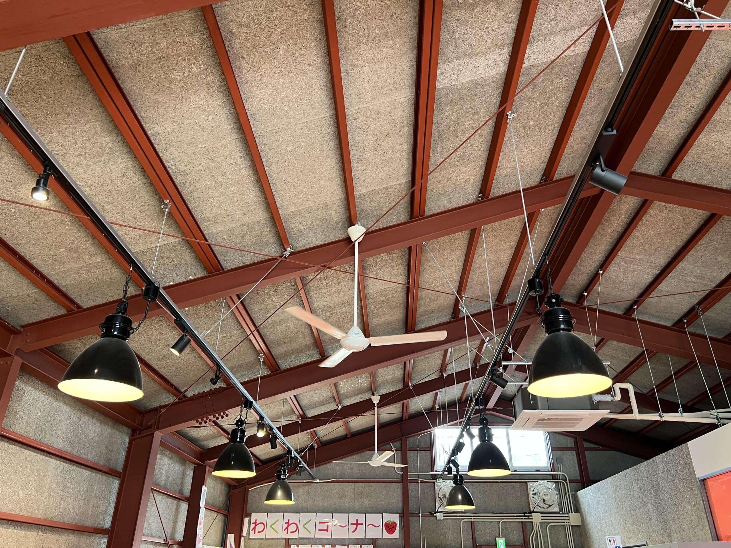 【沖縄】摘みたて島いちごを食べに「美らイチゴ 南城ハウス」へ TB icoco