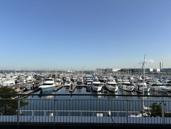 【観葉植物】garage（ガレージ）YOKOHAMAで新しいグリーンをお迎えしました♪