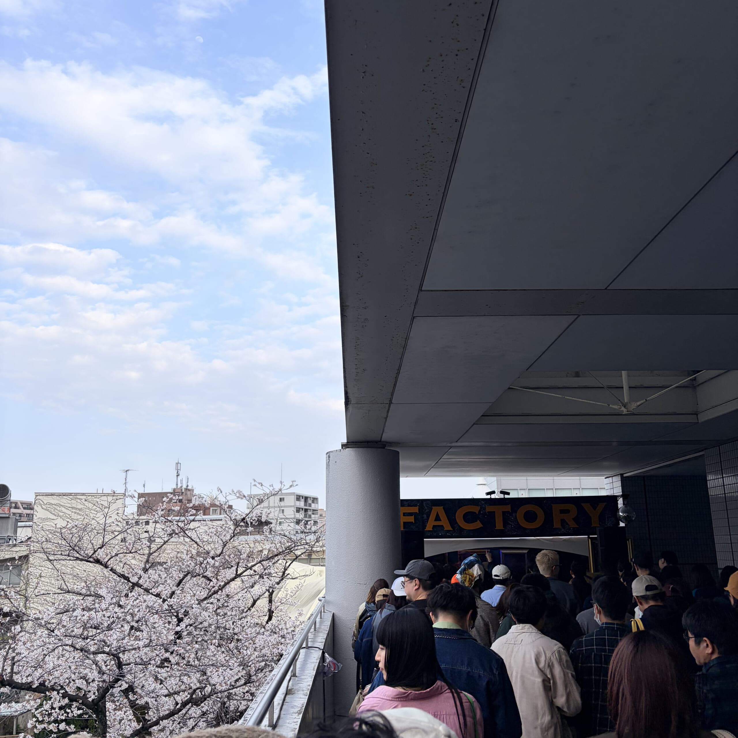 パンと音楽とアンティーク　フェス　イベント