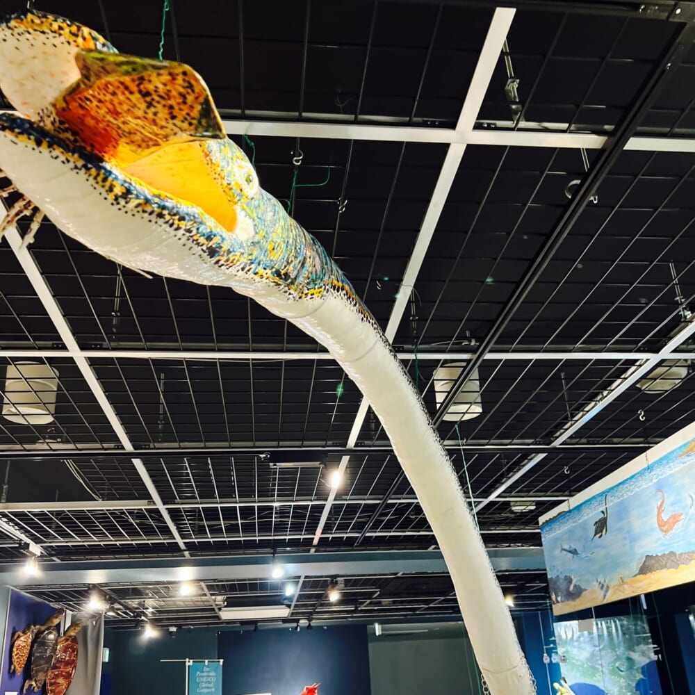 静岡　函南　月光天文台　宇宙　科学