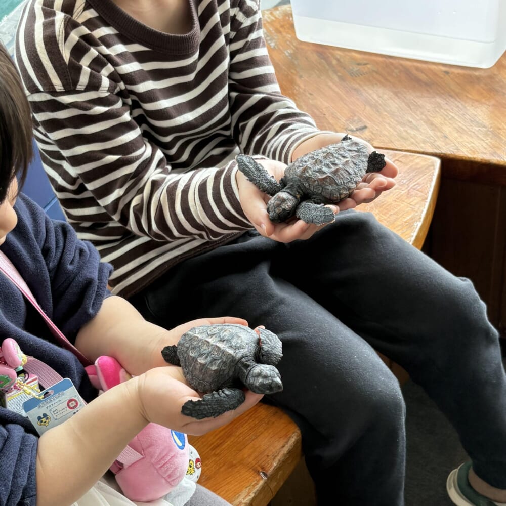 和歌山県
串本海中公園