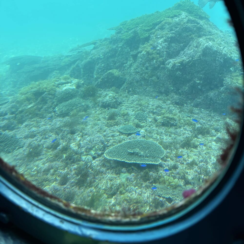 和歌山県 串本海中公園