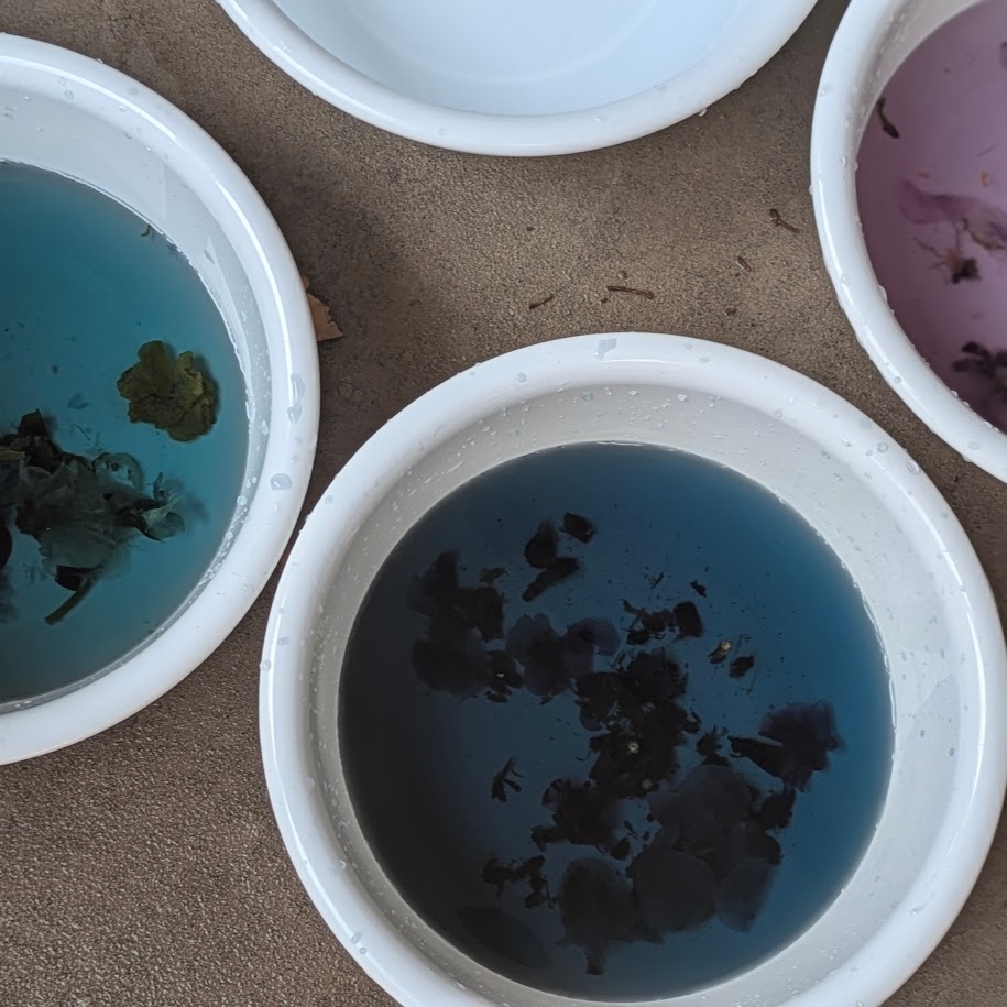 染色　コポ　バンドルダイ