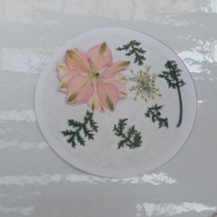 缶バッチ　コポ　TSUTEマルシェ