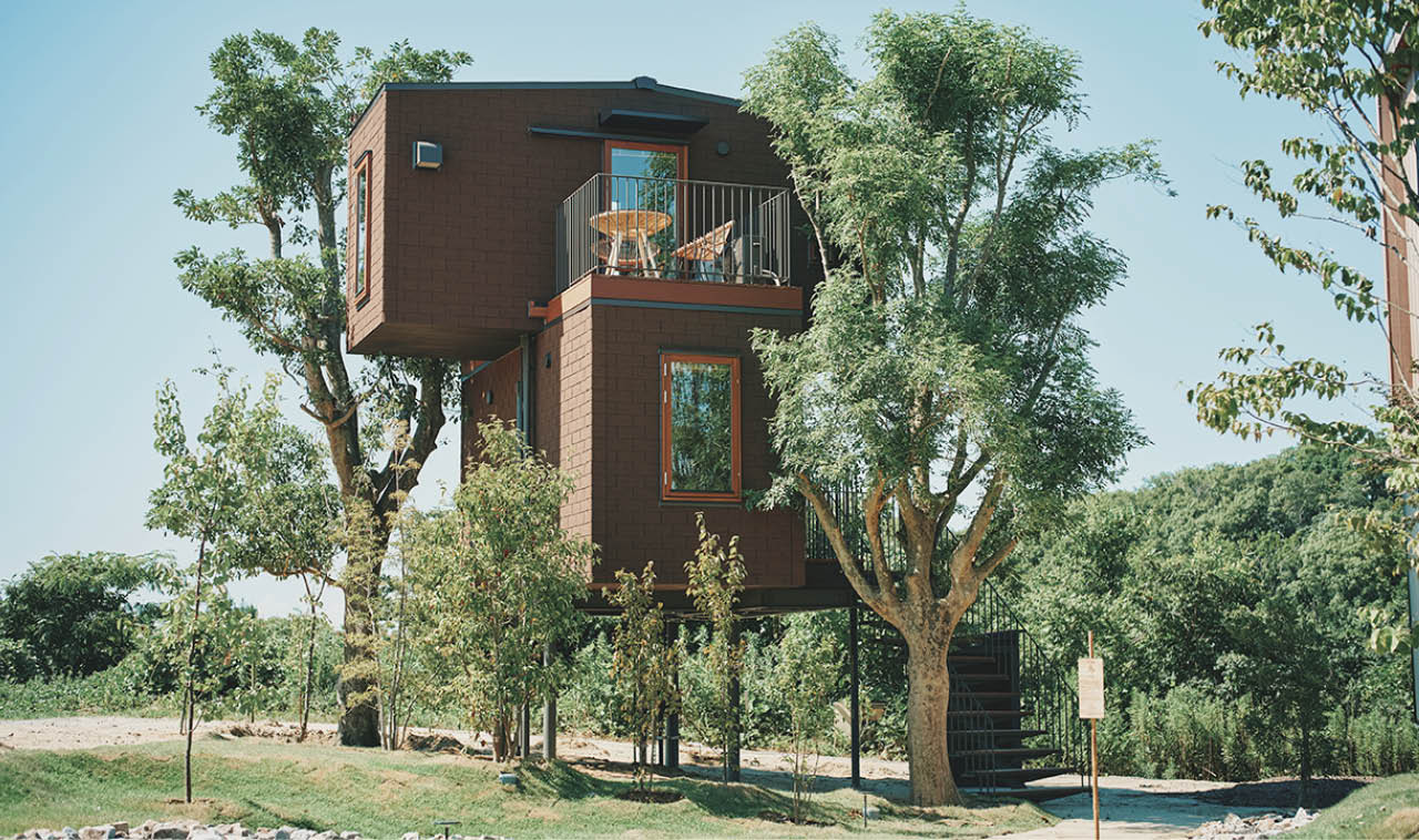 〝鳥の家〞と名付けられた2階建てタイプで、大木と一体になった構造