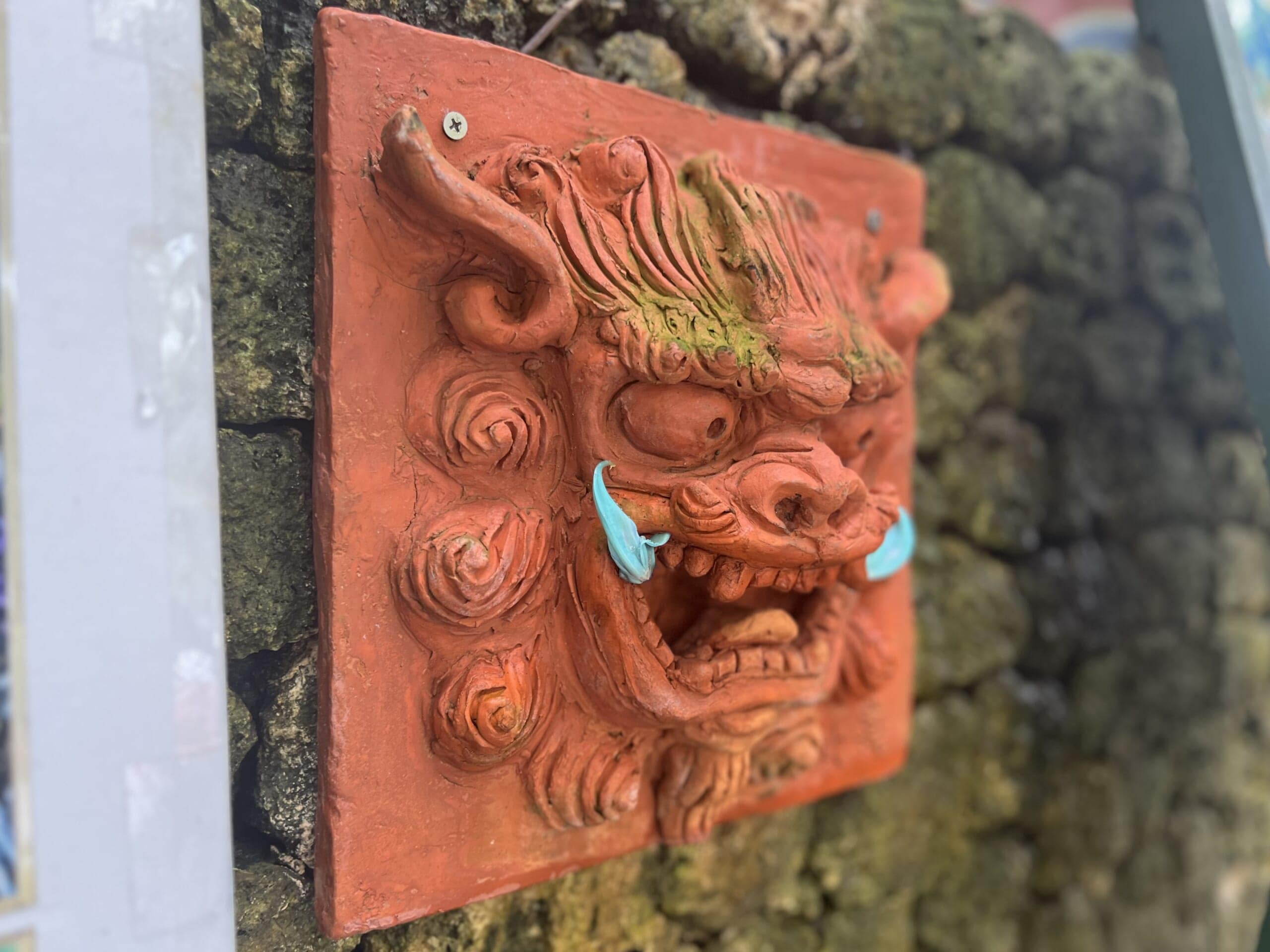 【沖縄】青が眩しい「ヒスイカズラ」が見頃でした TBicoco