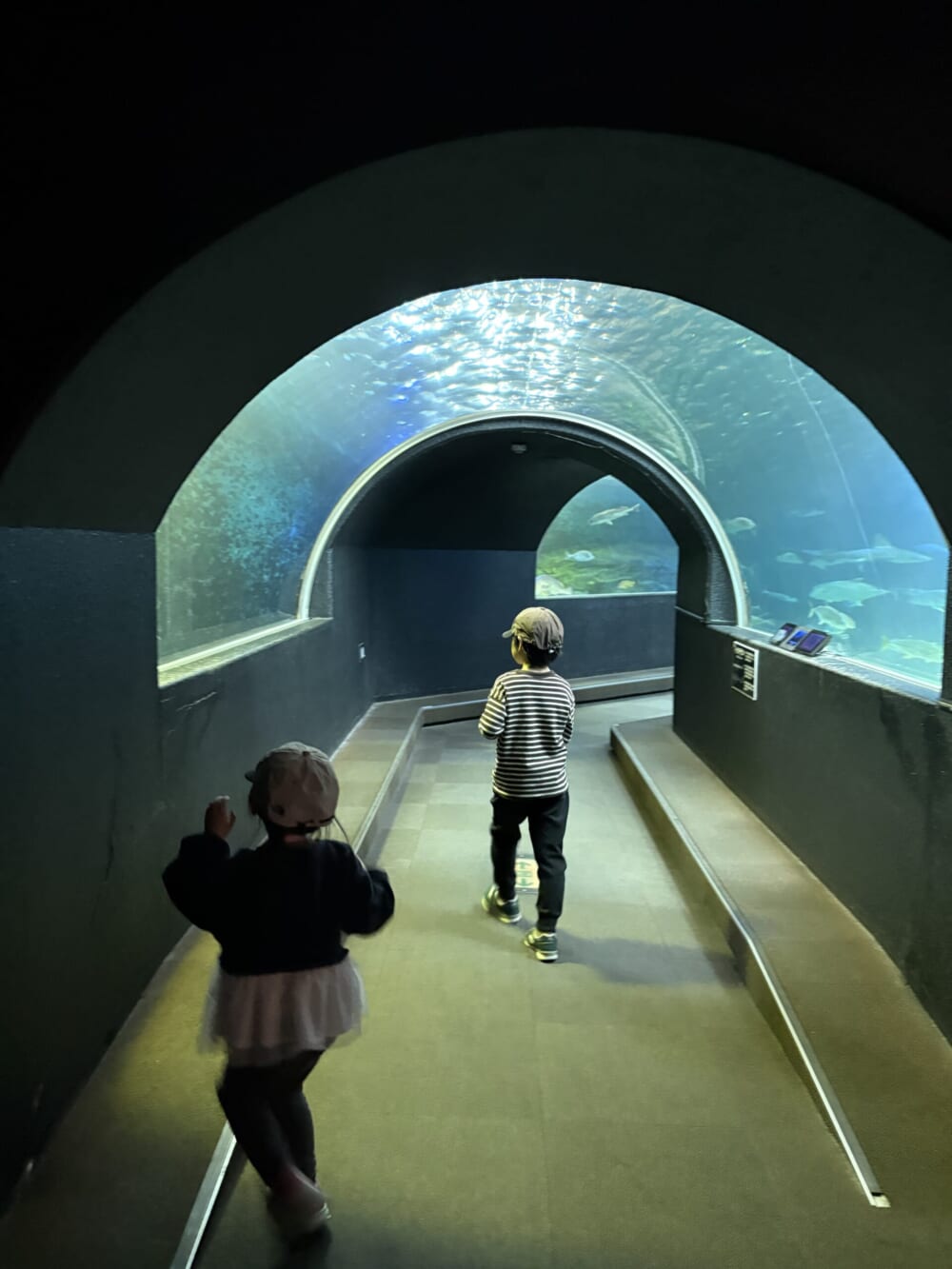 和歌山県
串本海中公園