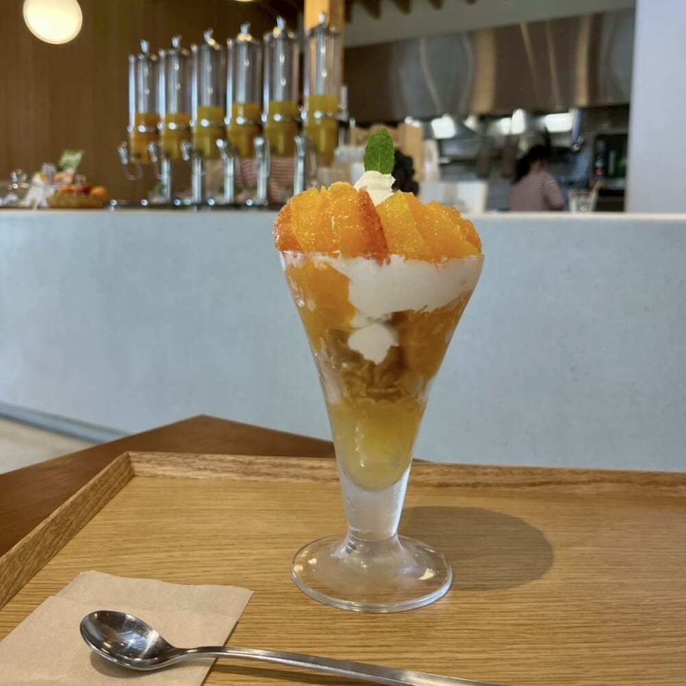 和歌山
カフェみかんの木