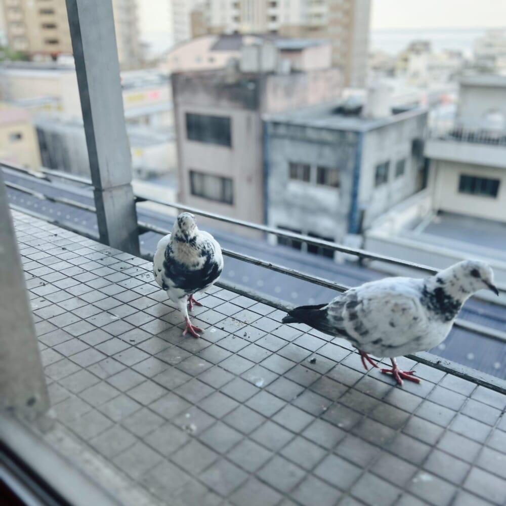静岡県 熱海 熱海ニューフジヤホテル 温泉 卓球 バイキング 伊東園ホテルズ