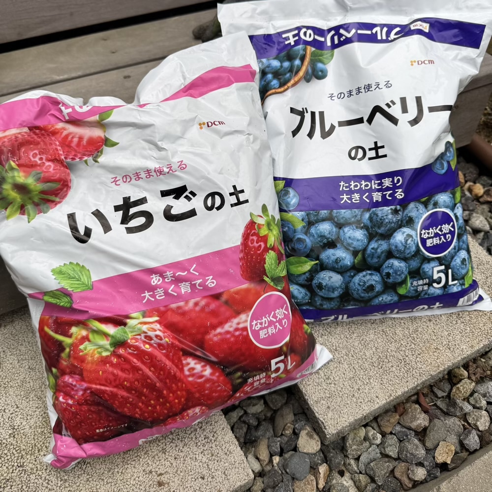 イチゴ　ブルーベリー　土