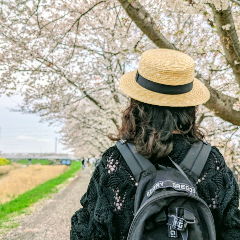 お花見　桜　川沿い　菜の花
