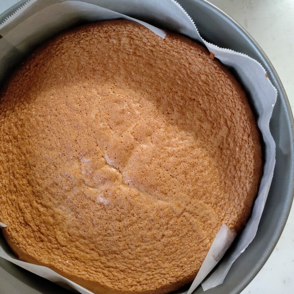 ムラヨシマサユキさん「ミックスフルーツのショートケーキ」焼き上がったスポンジ