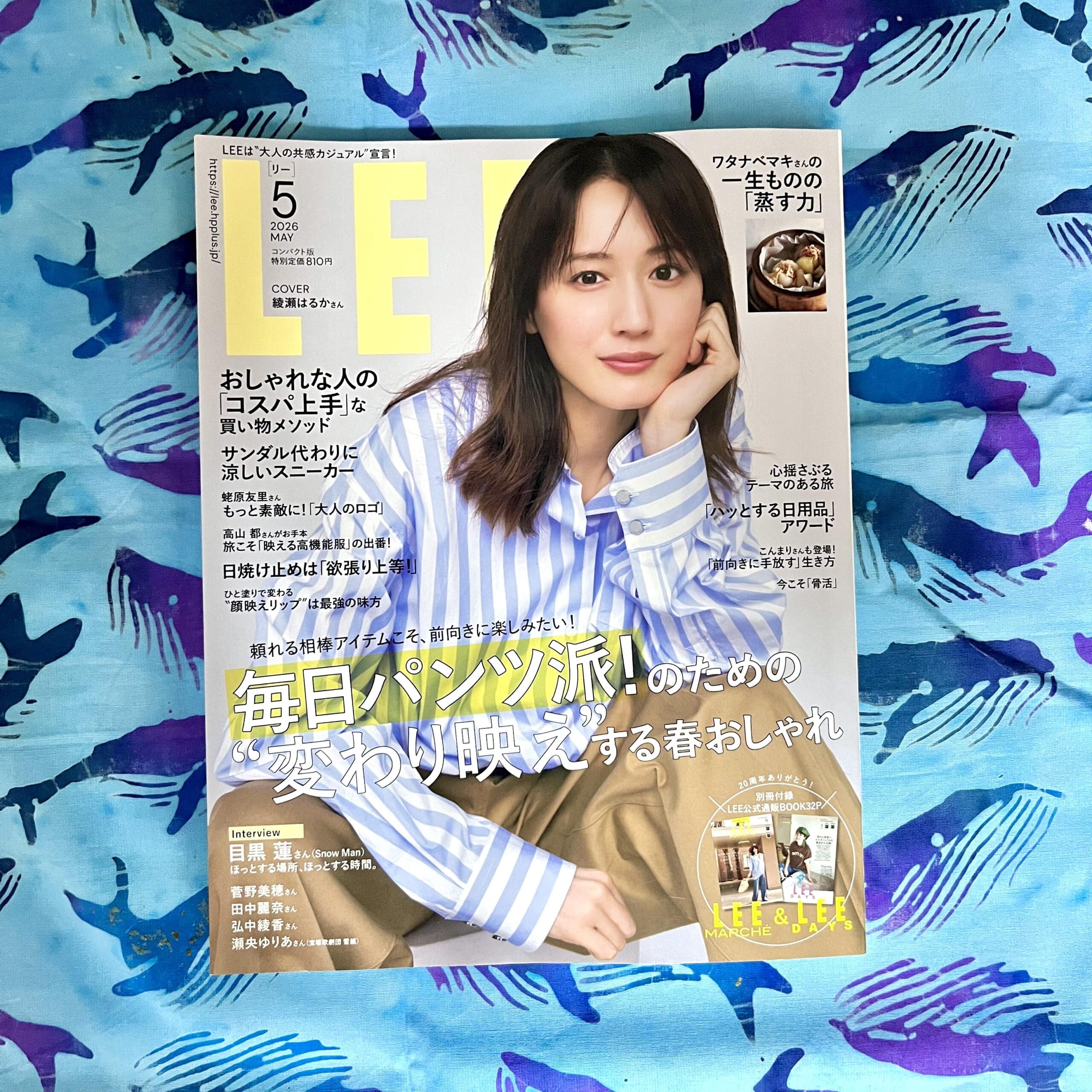 雑誌　本