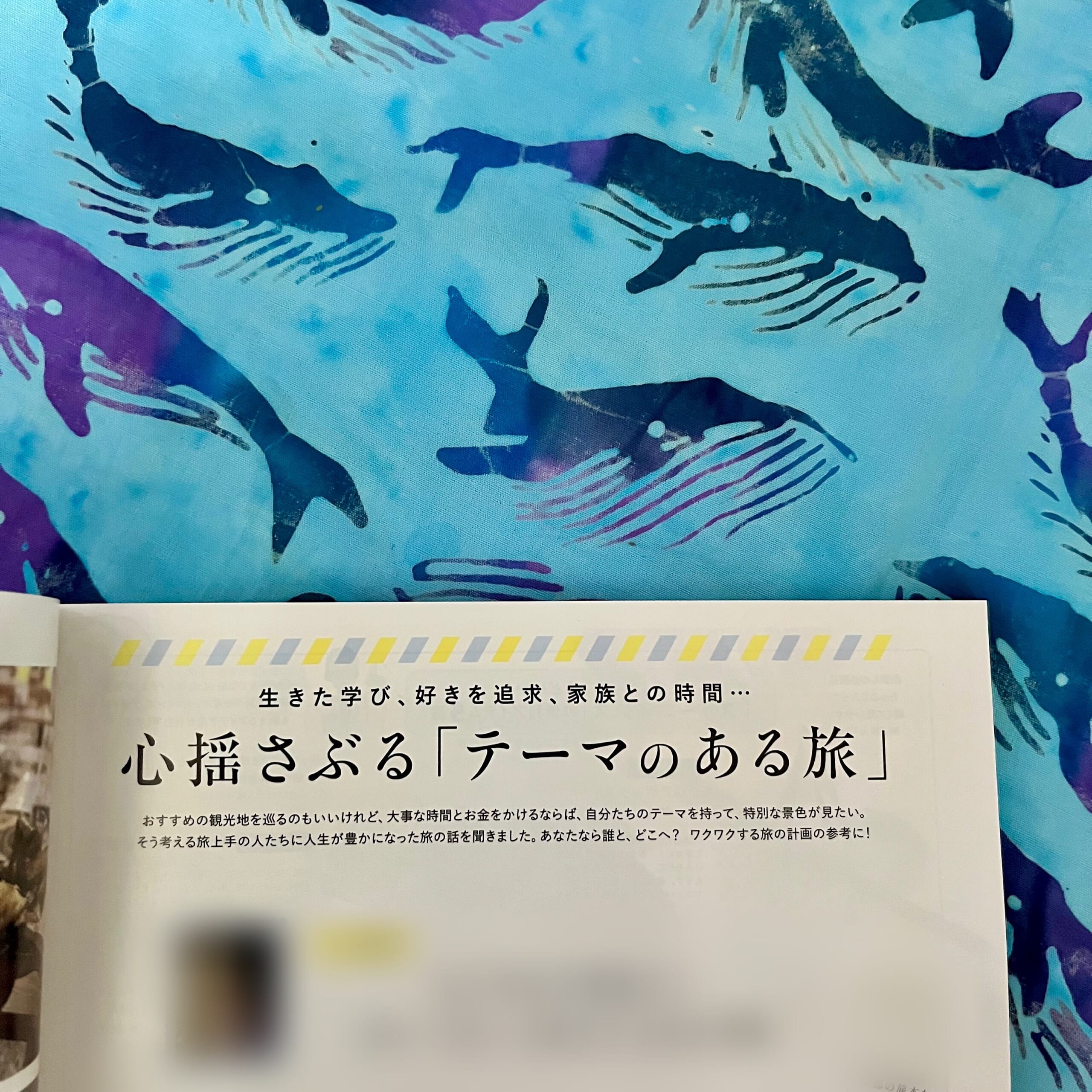 雑誌