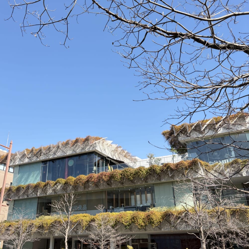 ビルズ パンケーキ 二子玉川