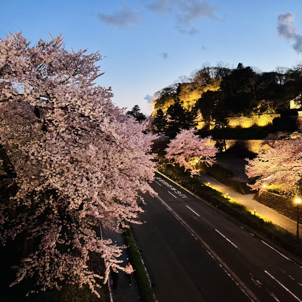 兼六園　金沢城公園　ライトアップ　