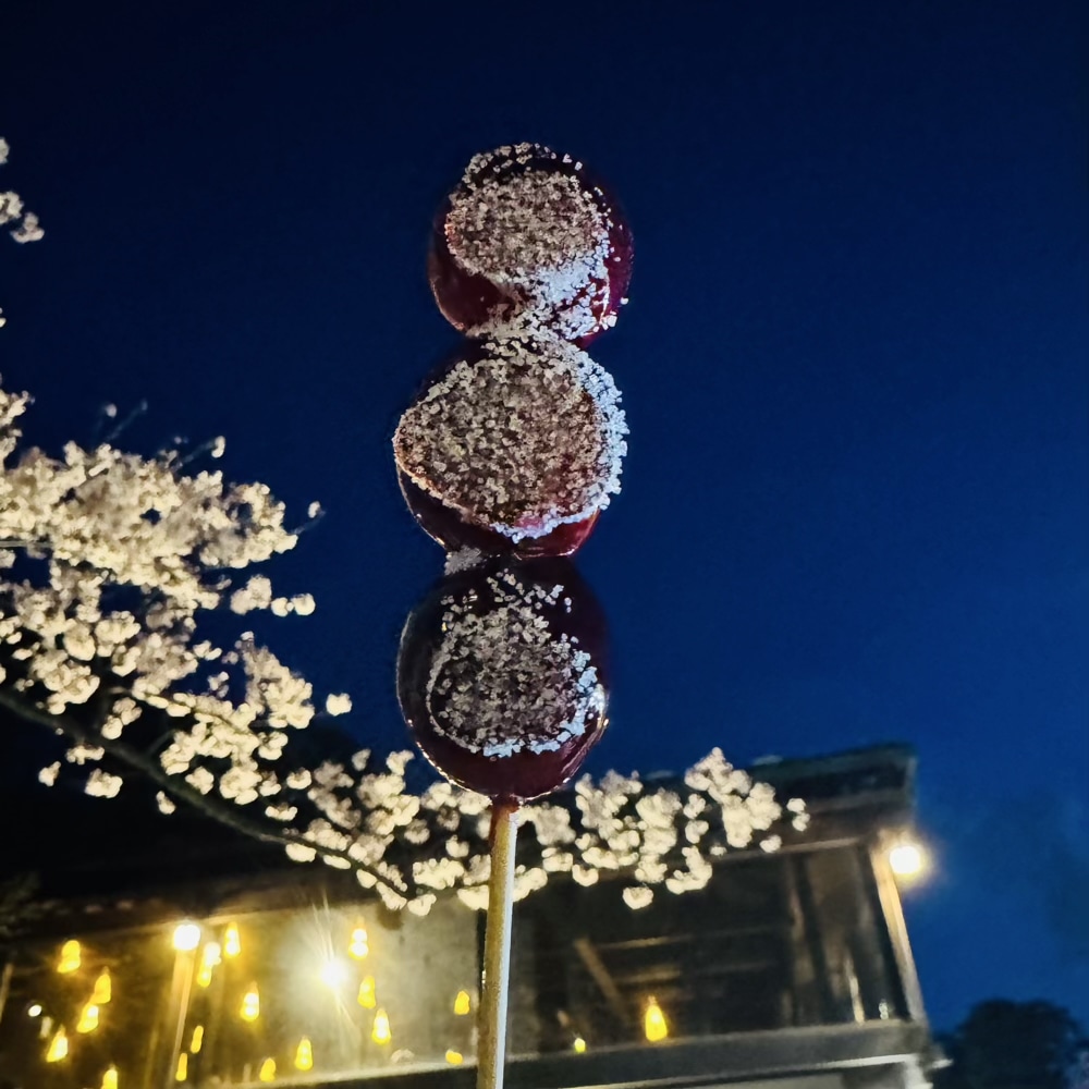 兼六園　金沢城公園　ライトアップ　