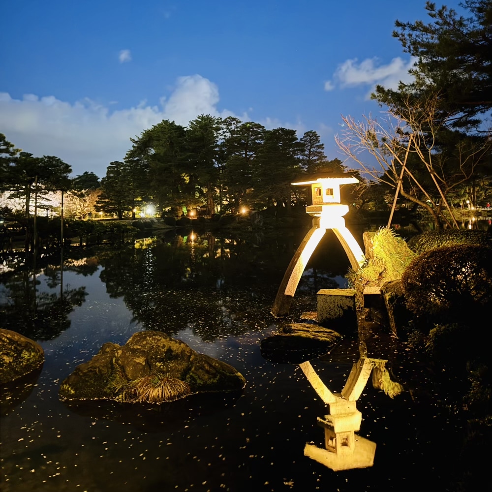 兼六園　ライトアップ　夜桜