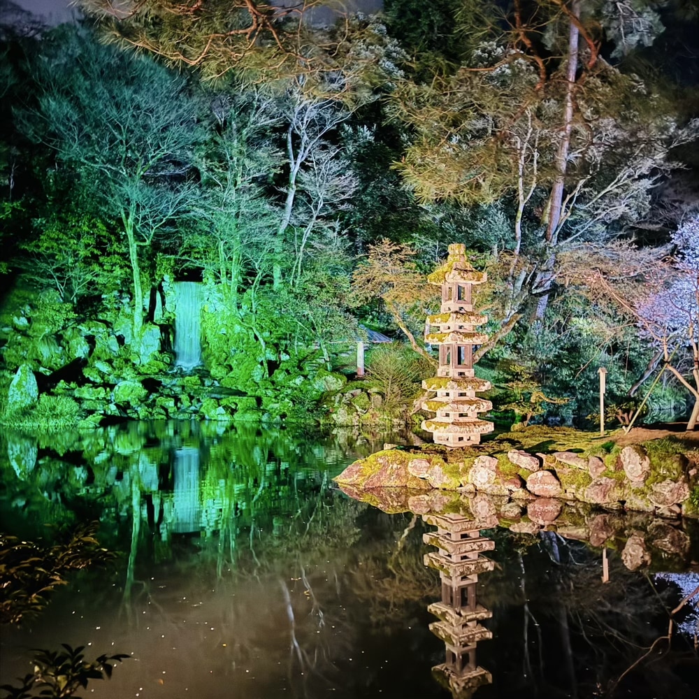 兼六園　ライトアップ　夜桜