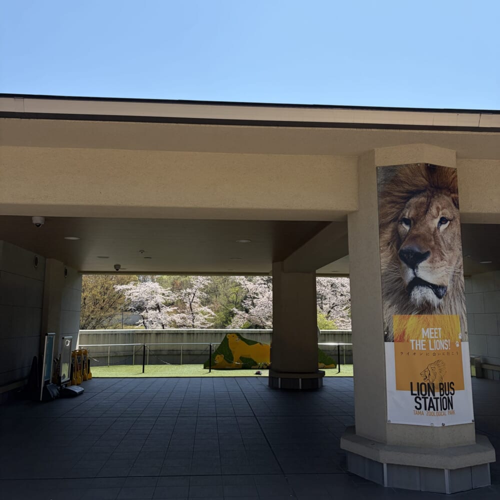 多摩動物公園 子連れお出かけ ライオンバス