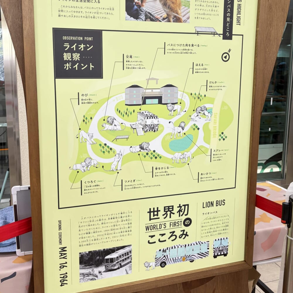 多摩動物公園 子連れお出かけ ライオンバス