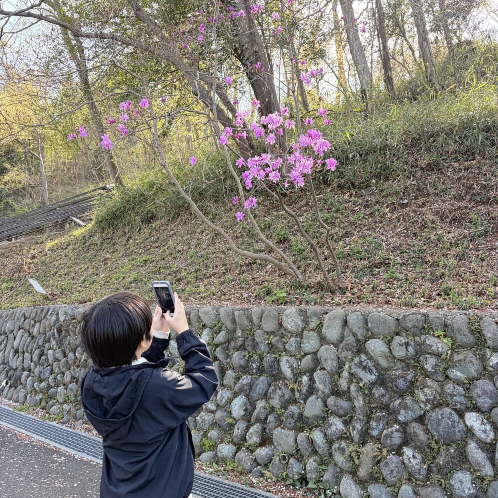 多摩動物公園 子連れお出かけ ライオンバス