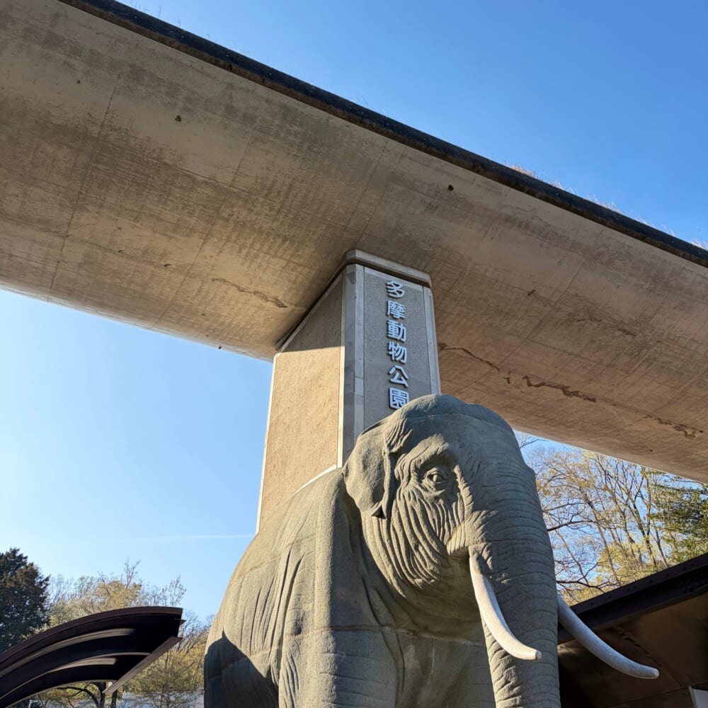 多摩動物公園 子連れお出かけ ライオンバス