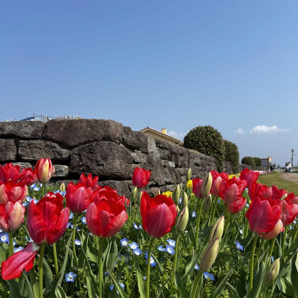 ソレイユの丘　ショートトリップ　家族旅行