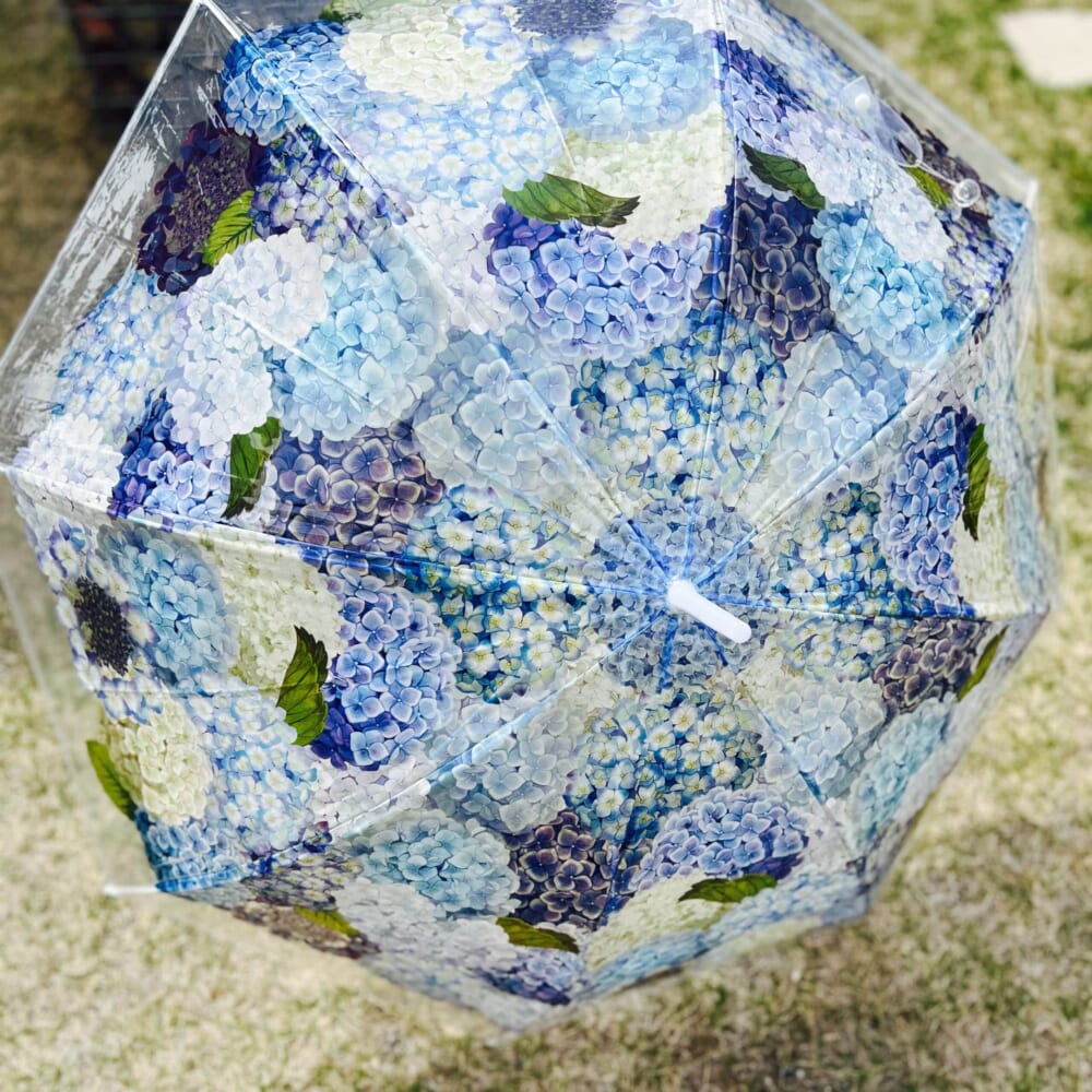 雨空に咲きこぼれる紫陽花の傘