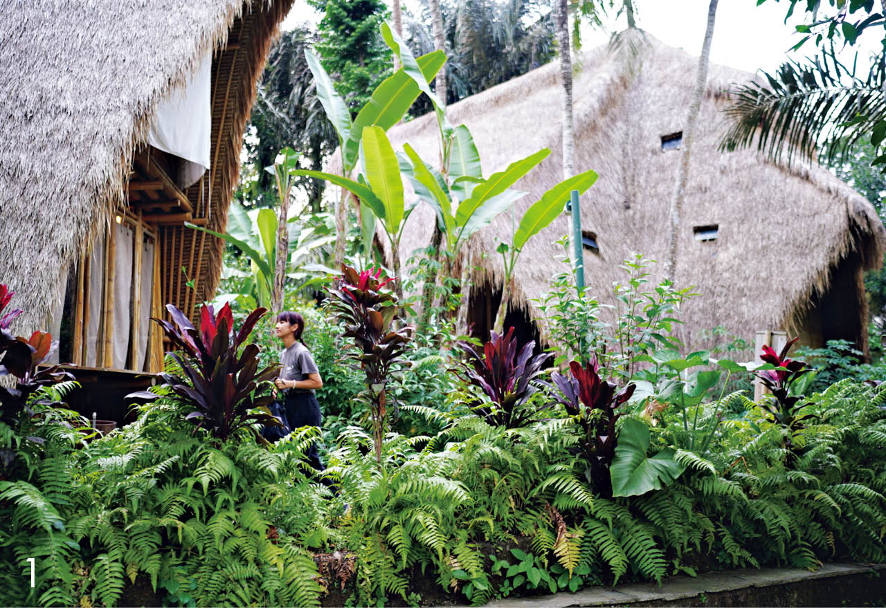 バリ島のグリーンスクール敷地内で行われる3日間宿泊型のファミリーキャンプツアーに参加。