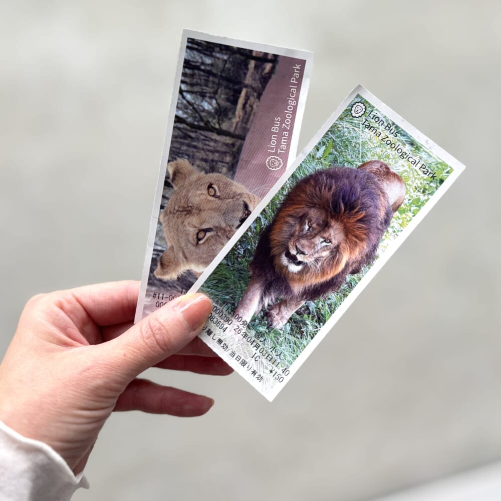 多摩動物公園 ライオンバス チケット