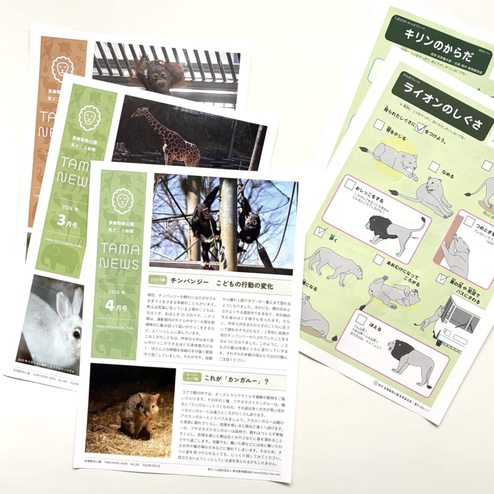 多摩動物公園 小学生 お出かけ