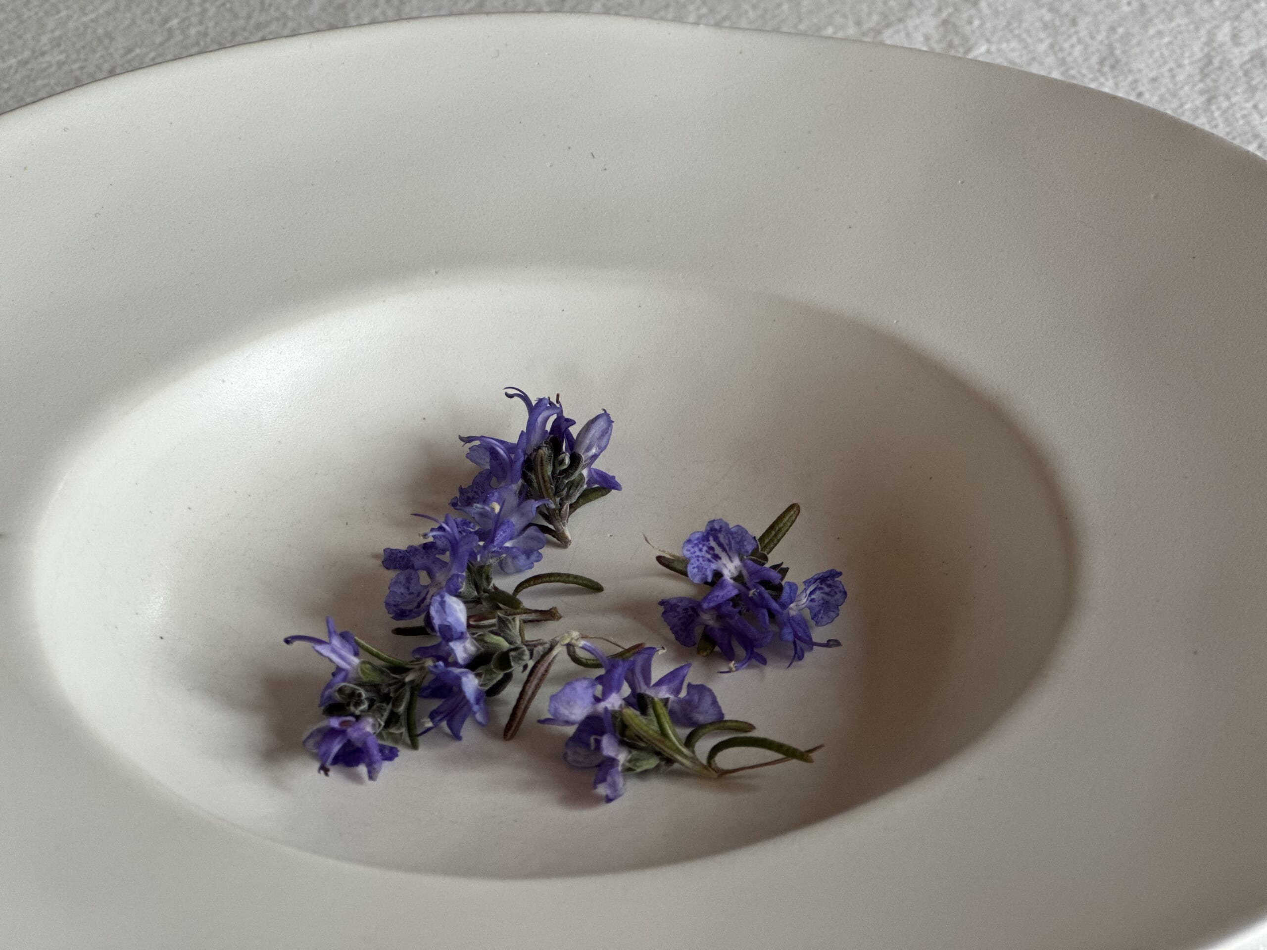 leedaysclub ローズマリー ローズマリーサブレ