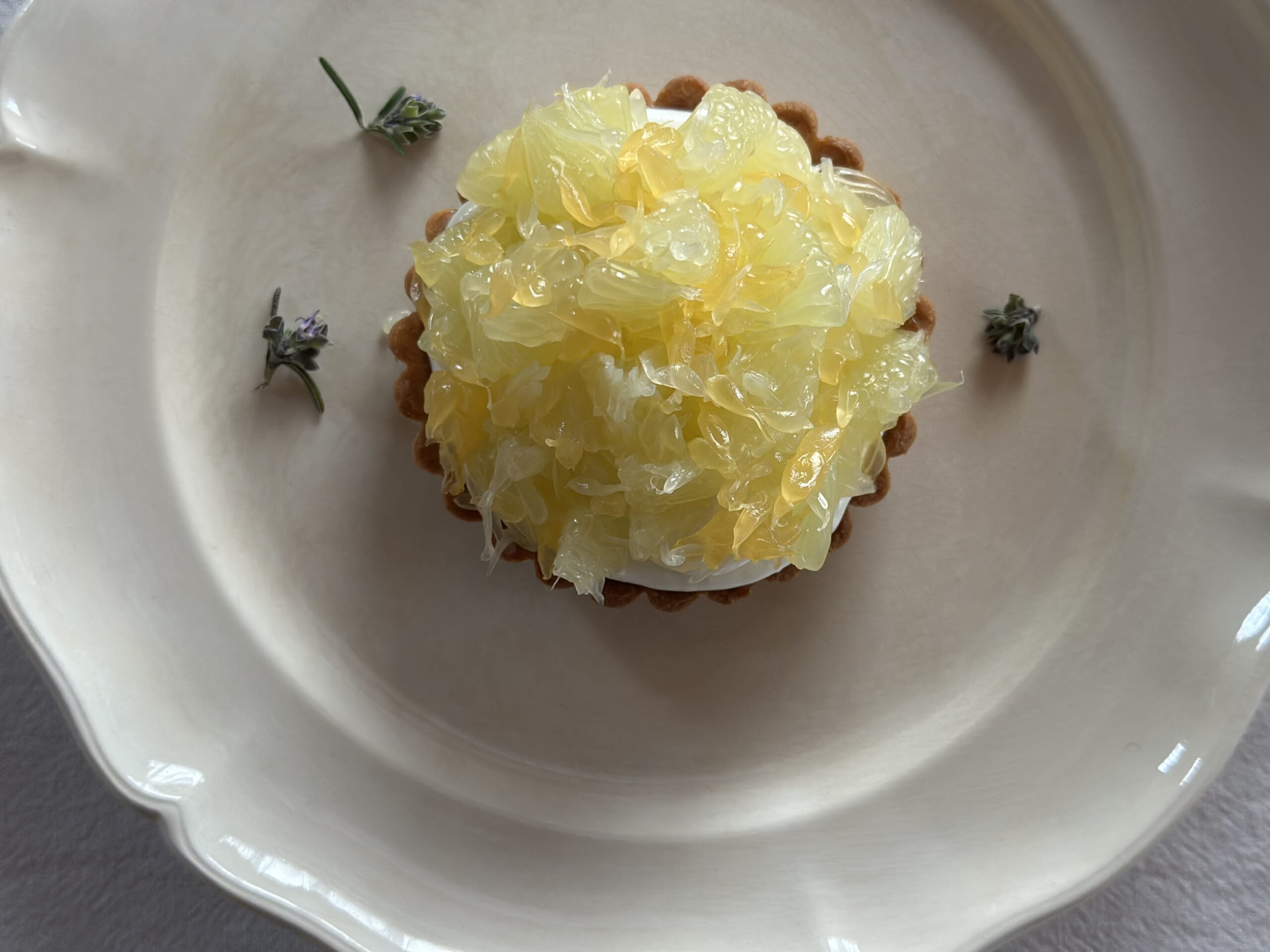 文旦と八朔のタルト 文旦タルト はっさくタルト