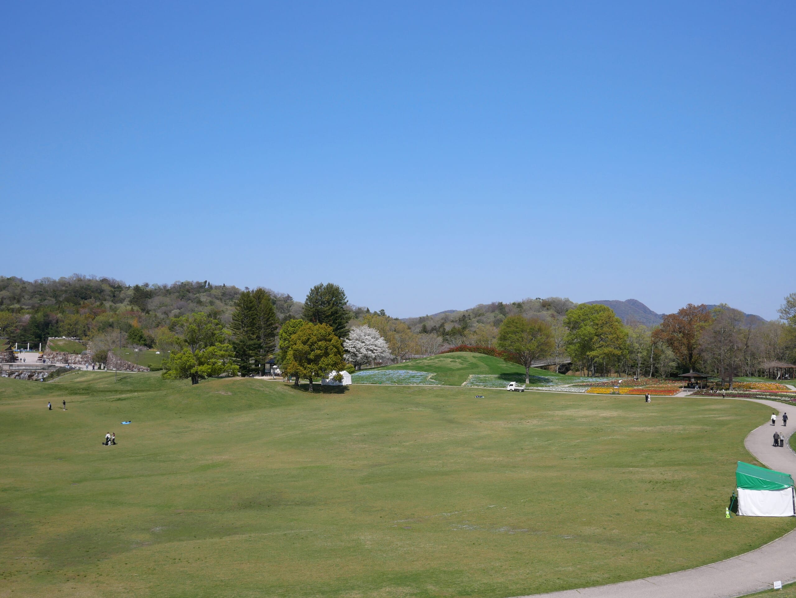 まんのう公園 香川県 子連れ ネモフィラ チューリップ3