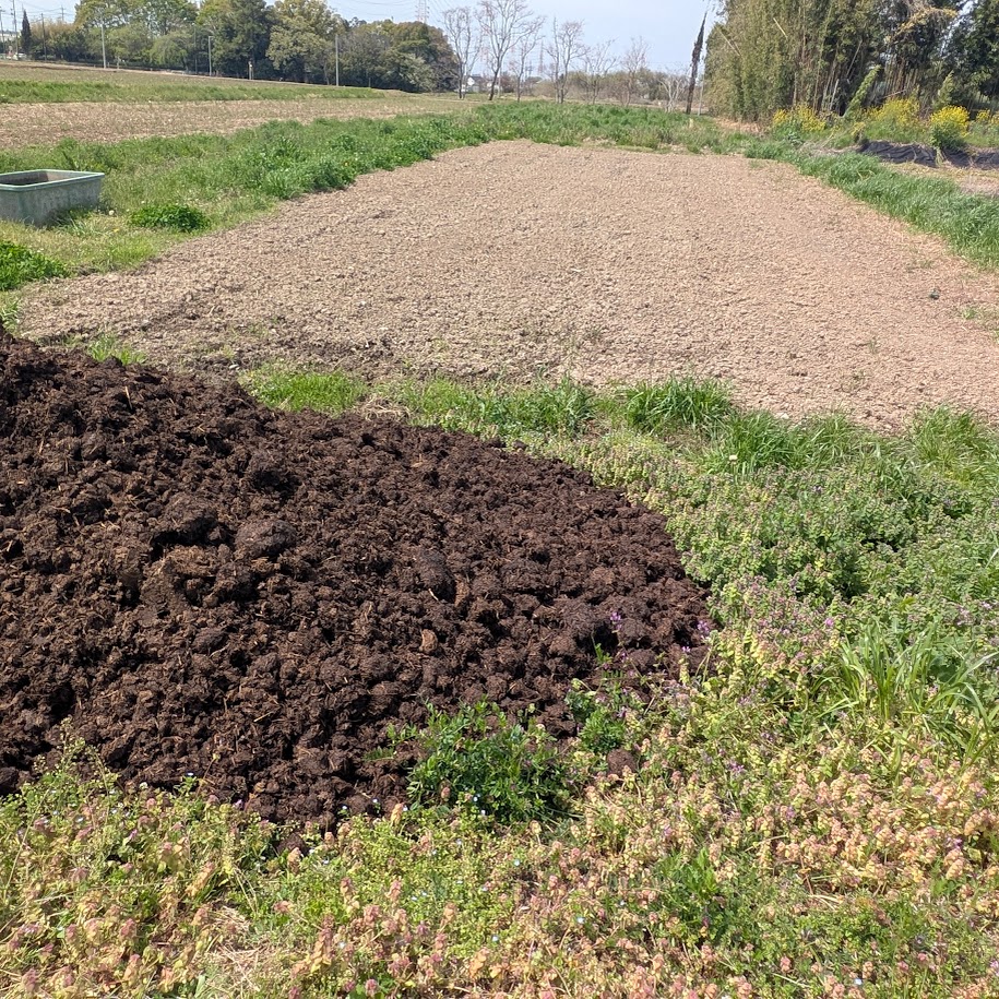 あぐりスクール 女子 コポ