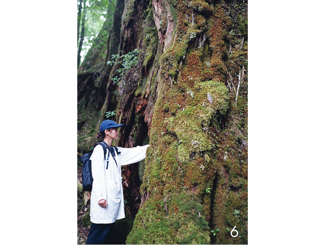 森の樹木が雨水をためて、時間をかけて河川に流出していくなど、海の成り立ちを肌で感じる貴重な体験をしたそう。