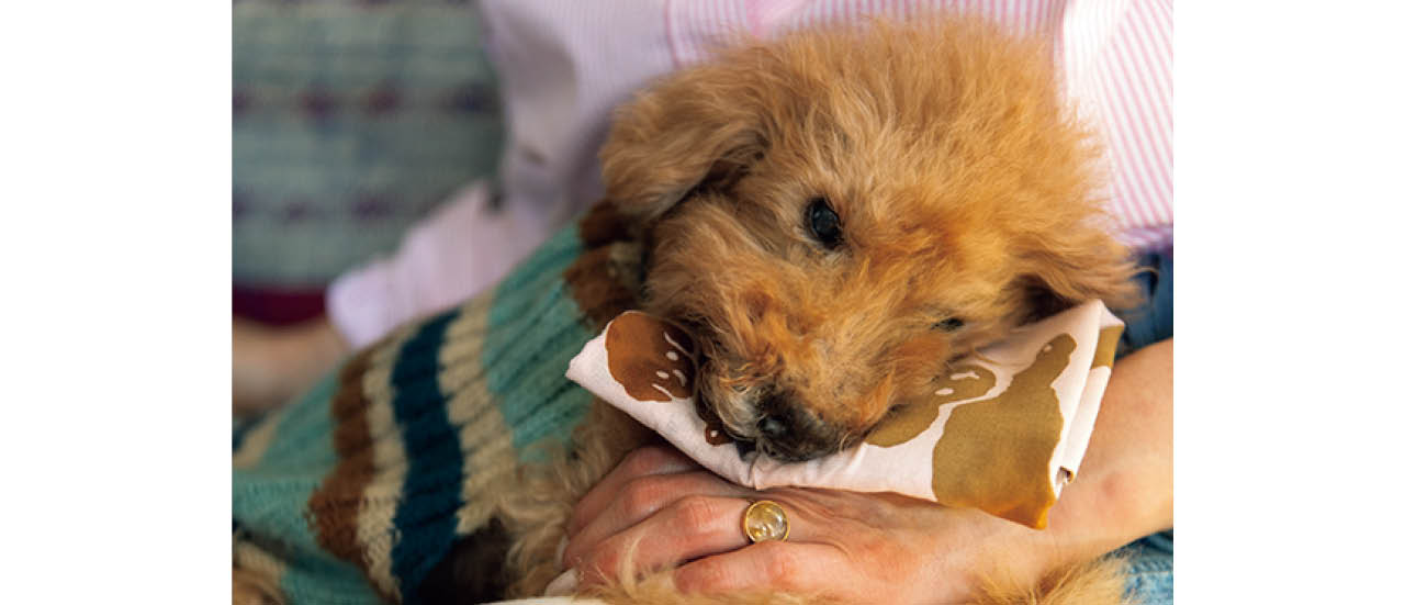「お水を飲んだり、ごはんを食べたりした後は口の周りが汚れるので、手ぬぐいでさっとふいてあげます」