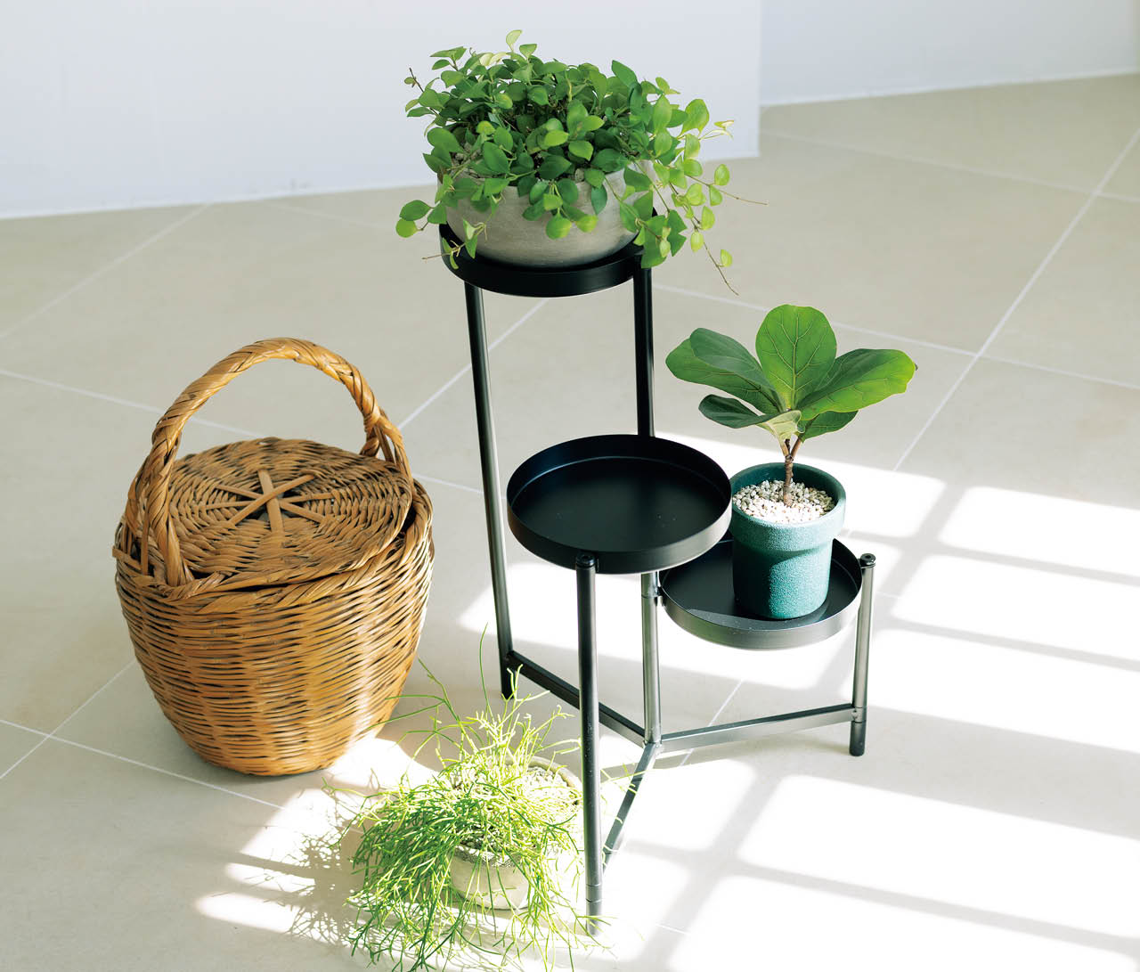 イケア・ジャパン
OLIVBLAD/オリヴブラード プラントスタンド