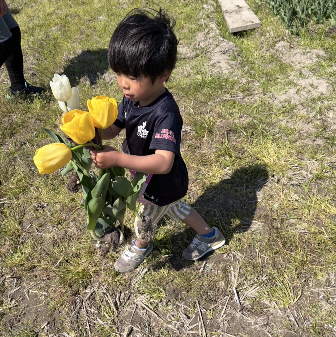 チューリップマラソン